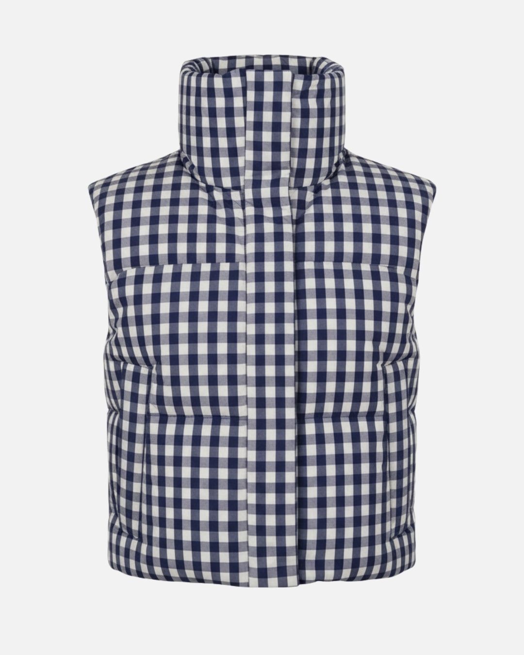 #color_indigo Gingham